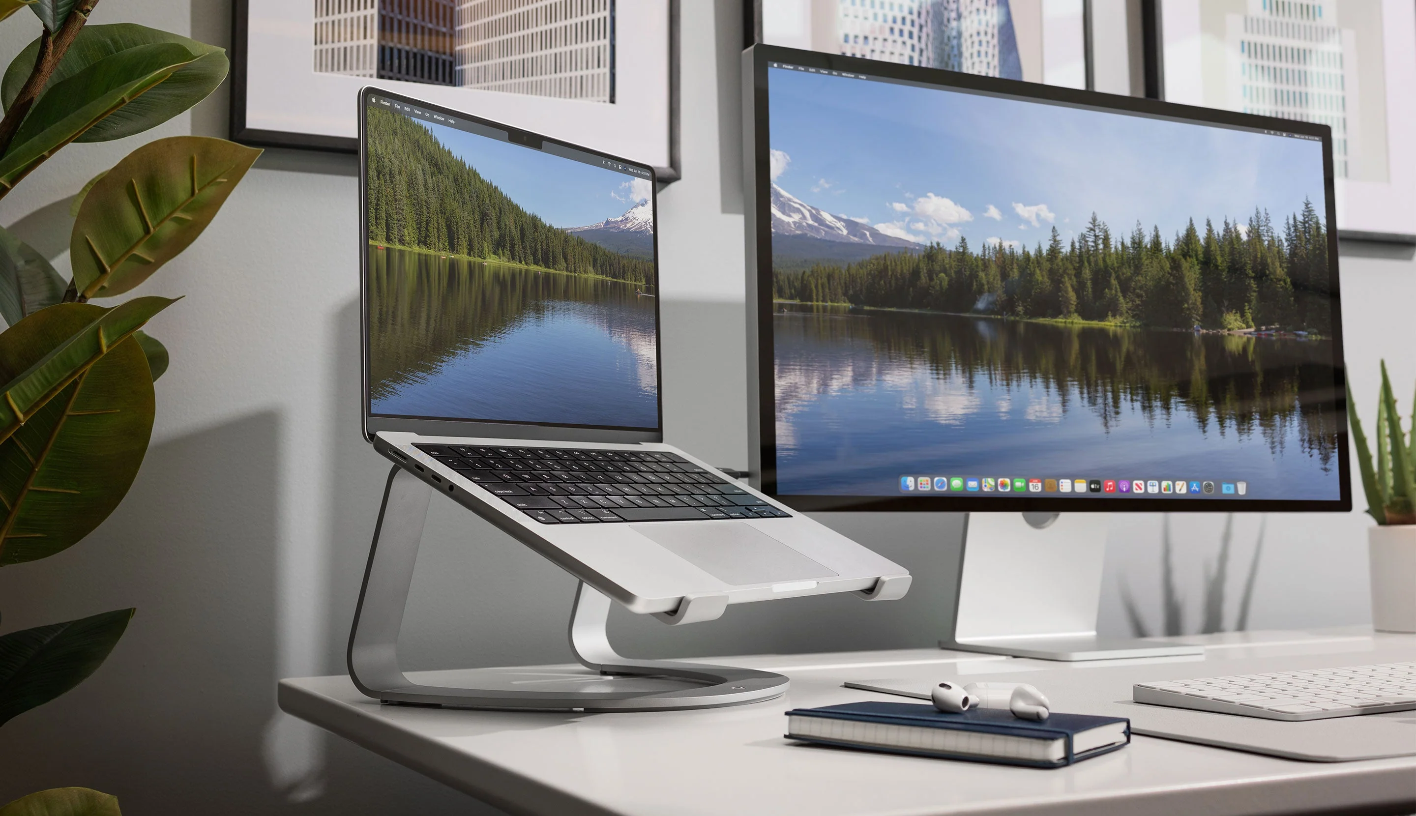 Curve SE - Image 4
